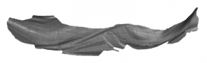 3D Scannen